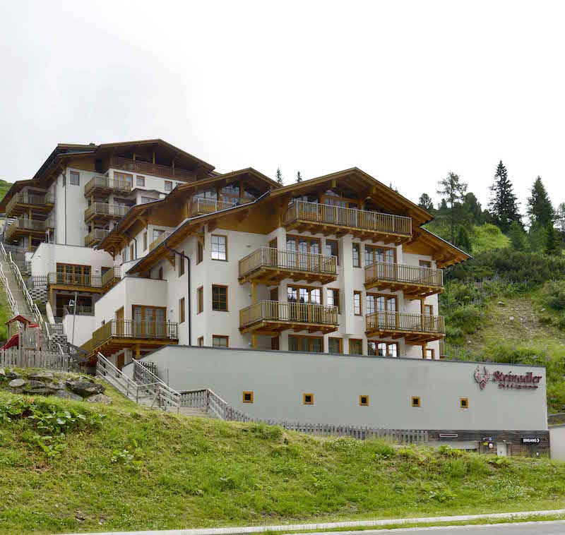 Steinadler1